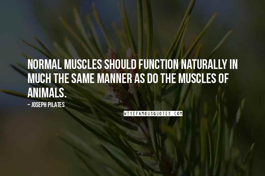 Joseph Pilates quotes: Normal muscles should function naturally in much the same manner as do the muscles of animals.