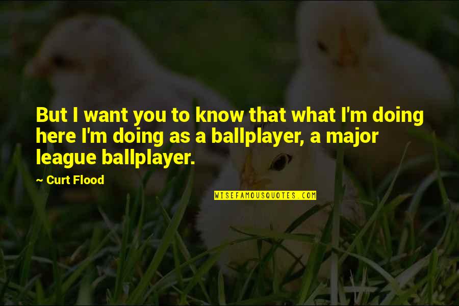 Joseph Porta Quotes By Curt Flood: But I want you to know that what