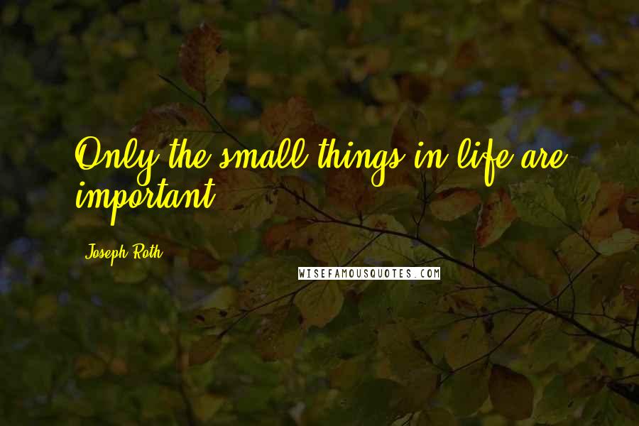 Joseph Roth quotes: Only the small things in life are important