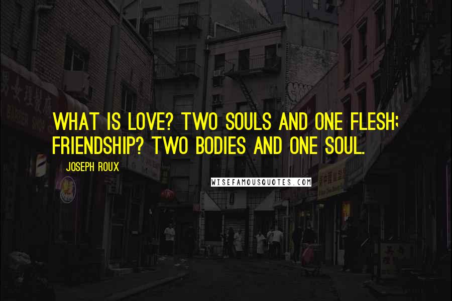 Joseph Roux quotes: What is love? two souls and one flesh; friendship? two bodies and one soul.