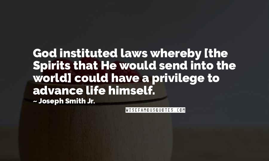 Joseph Smith Jr. quotes: God instituted laws whereby [the Spirits that He would send into the world] could have a privilege to advance life himself.
