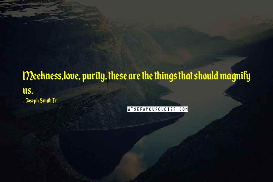 Joseph Smith Jr. quotes: Meekness,love, purity, these are the things that should magnify us.