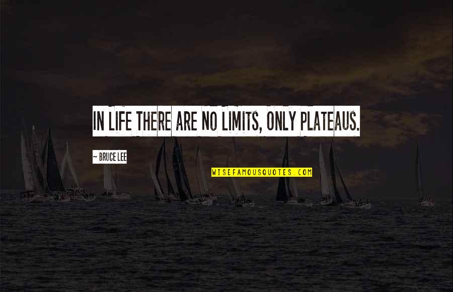 Joseph Stiglitz Globalisation Quotes By Bruce Lee: In Life There are No Limits, Only Plateaus.