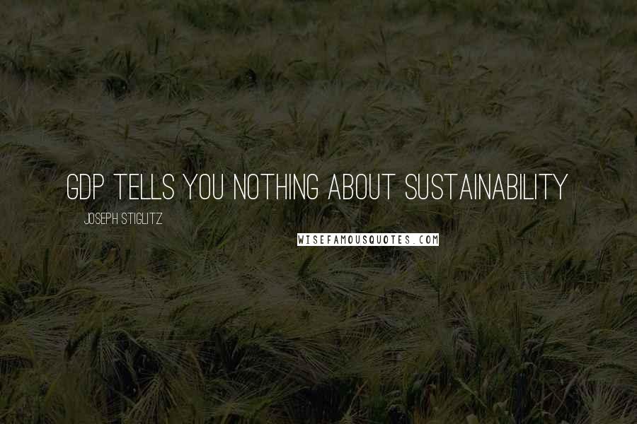 Joseph Stiglitz quotes: GDP tells you nothing about sustainability