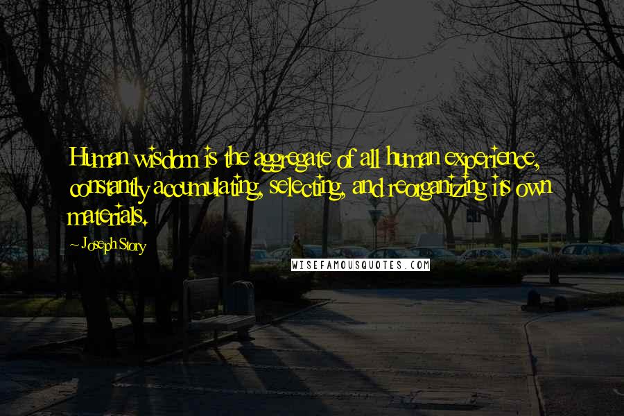 Joseph Story quotes: Human wisdom is the aggregate of all human experience, constantly accumulating, selecting, and reorganizing its own materials.