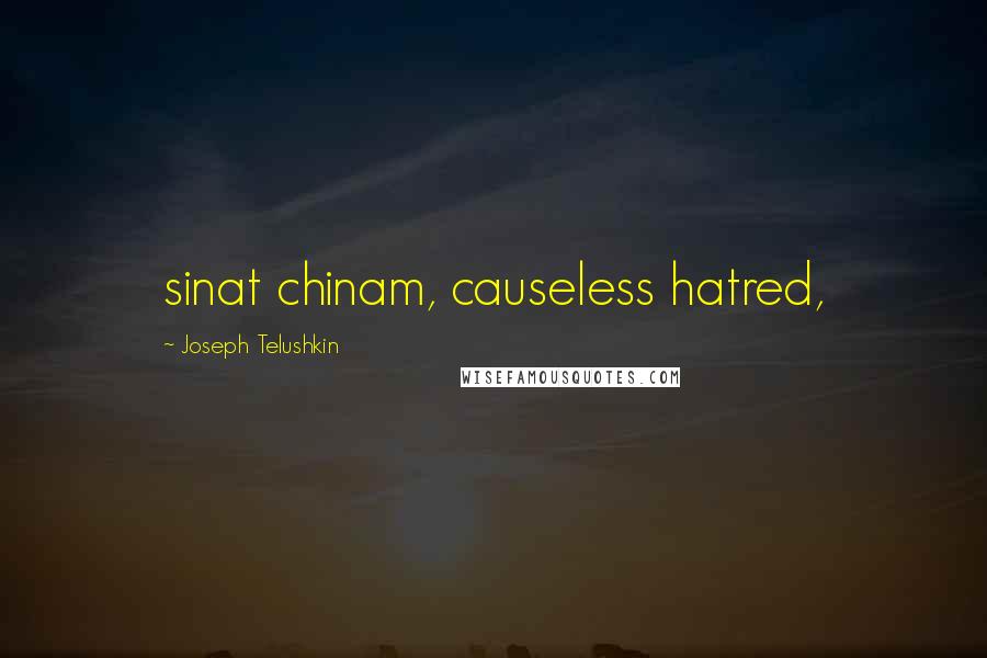 Joseph Telushkin quotes: sinat chinam, causeless hatred,