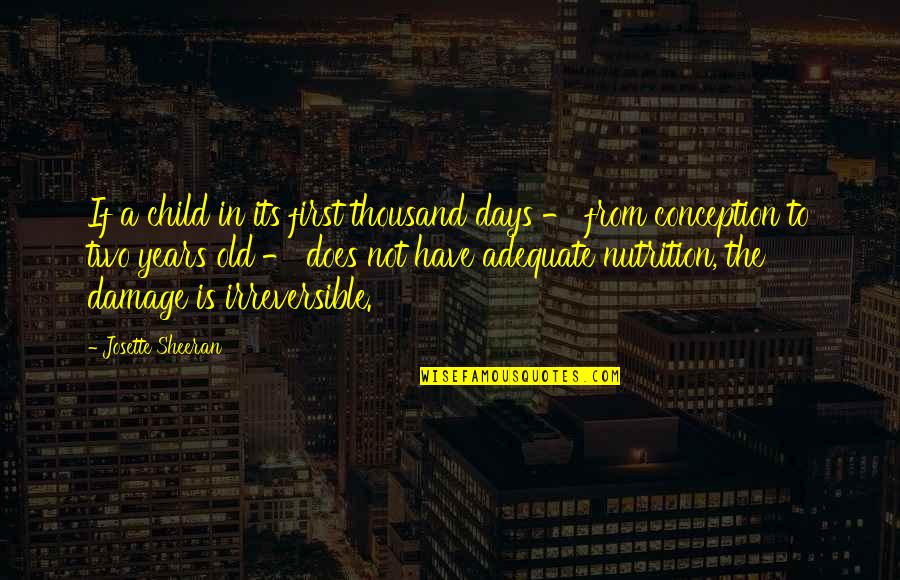 Josette Sheeran Quotes By Josette Sheeran: If a child in its first thousand days