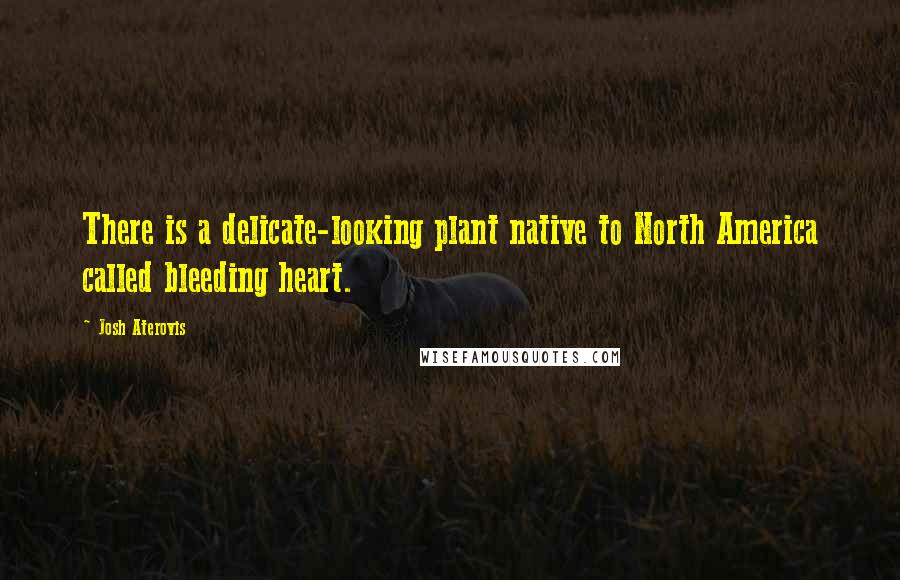 Josh Aterovis quotes: There is a delicate-looking plant native to North America called bleeding heart.