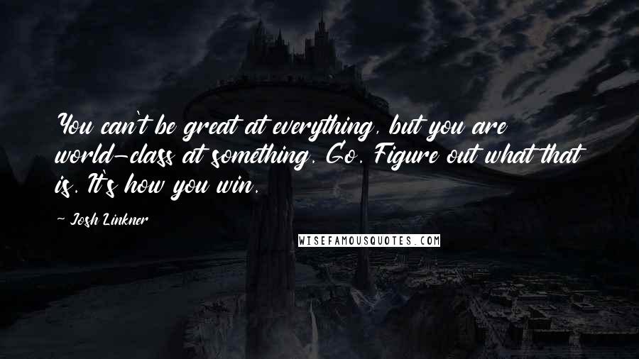 Josh Linkner quotes: You can't be great at everything, but you are world-class at something. Go. Figure out what that is. It's how you win.