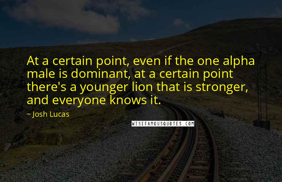 Josh Lucas quotes: At a certain point, even if the one alpha male is dominant, at a certain point there's a younger lion that is stronger, and everyone knows it.