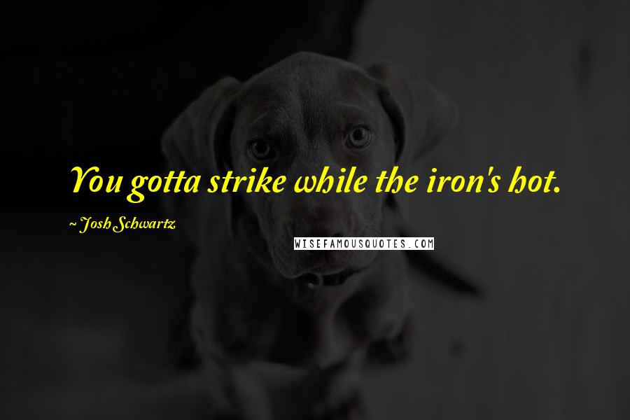 Josh Schwartz quotes: You gotta strike while the iron's hot.