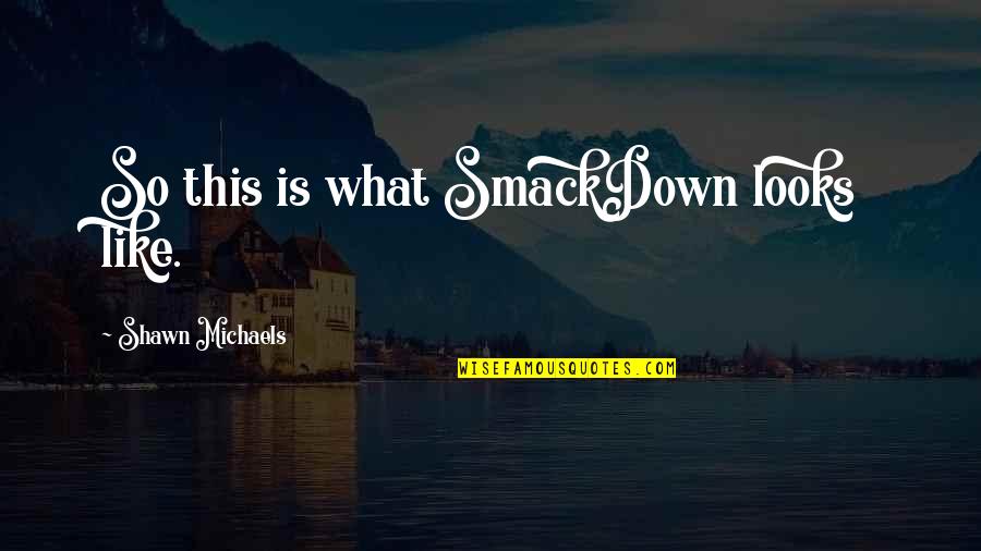 Joshamee Gibbs Quotes By Shawn Michaels: So this is what SmackDown looks like.