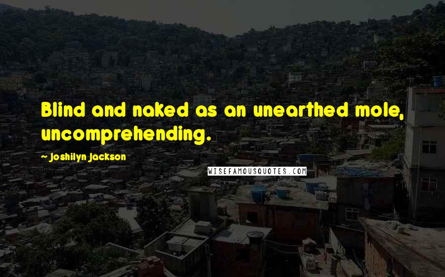 Joshilyn Jackson quotes: Blind and naked as an unearthed mole, uncomprehending.