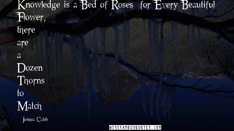Joshua Caleb quotes: Knowledge is a Bed of Roses; for Every Beautiful Flower, there are a Dozen Thorns to Match