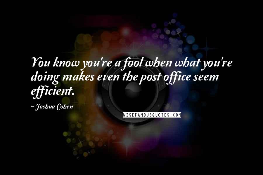 Joshua Cohen quotes: You know you're a fool when what you're doing makes even the post office seem efficient.