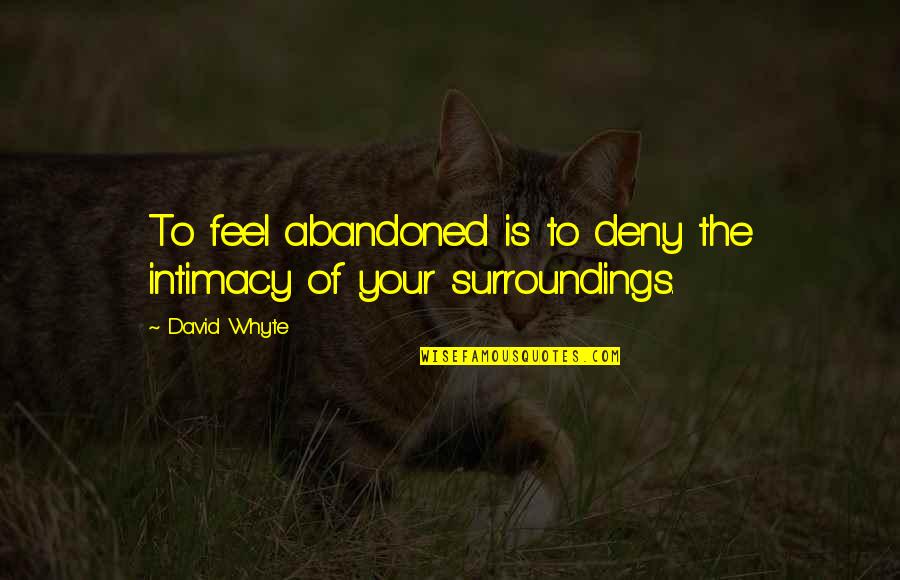 Joshua Homme Song Quotes By David Whyte: To feel abandoned is to deny the intimacy