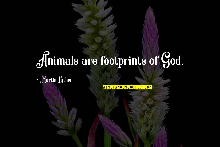 Joshua Kadison Quotes By Martin Luther: Animals are footprints of God.