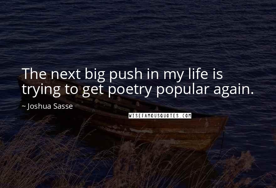 Joshua Sasse quotes: The next big push in my life is trying to get poetry popular again.