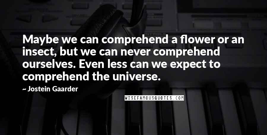 Jostein Gaarder quotes: Maybe we can comprehend a flower or an insect, but we can never comprehend ourselves. Even less can we expect to comprehend the universe.