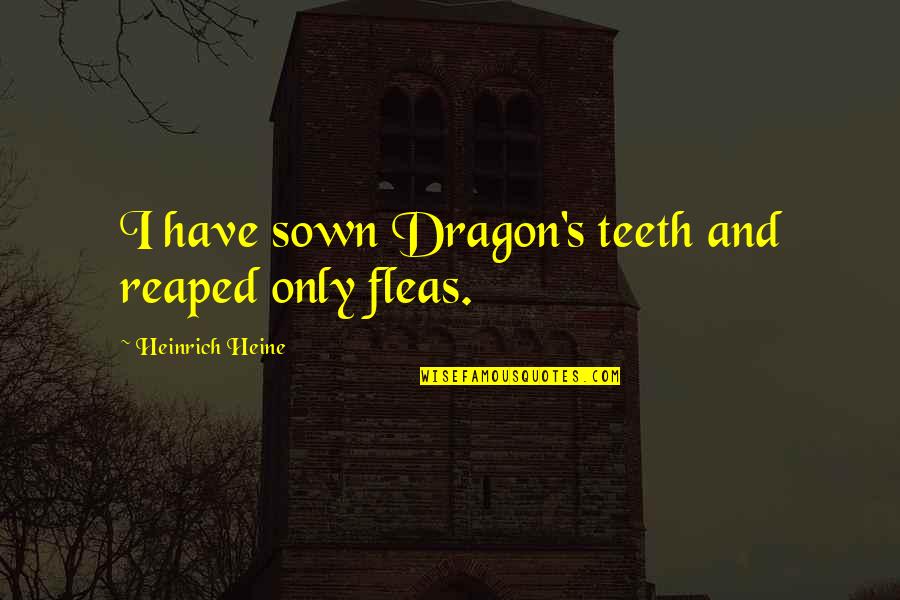 Jostled Papers Quotes By Heinrich Heine: I have sown Dragon's teeth and reaped only