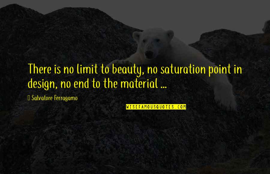 Jotham Powell Quotes By Salvatore Ferragamo: There is no limit to beauty, no saturation