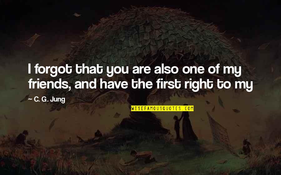 Joues De Porc Quotes By C. G. Jung: I forgot that you are also one of