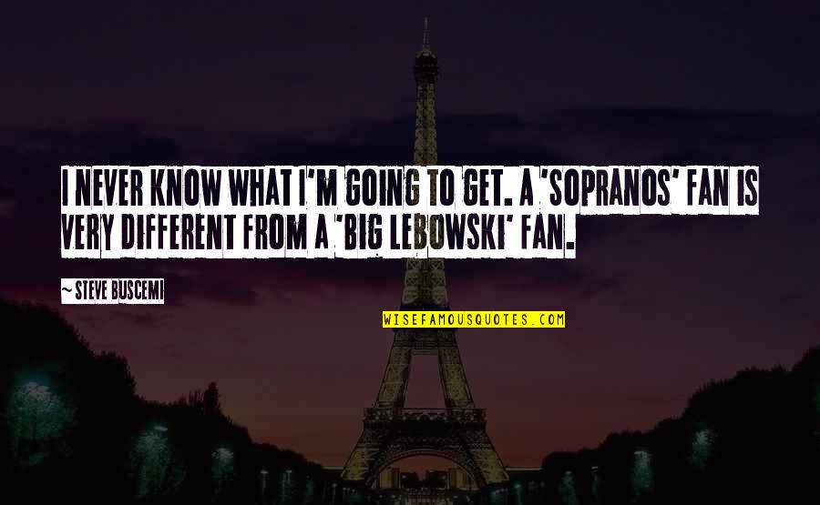 Jouissif Quotes By Steve Buscemi: I never know what I'm going to get.