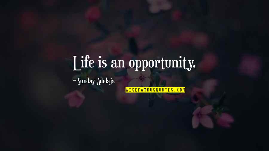 Journalism Fourth Estate Quotes By Sunday Adelaja: Life is an opportunity.