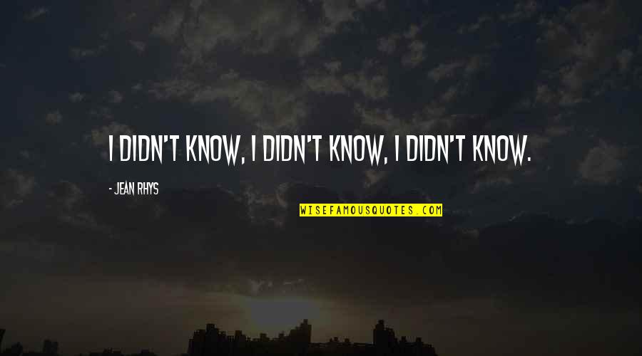 Journalisms Richard Quotes By Jean Rhys: I didn't know, I didn't know, I didn't