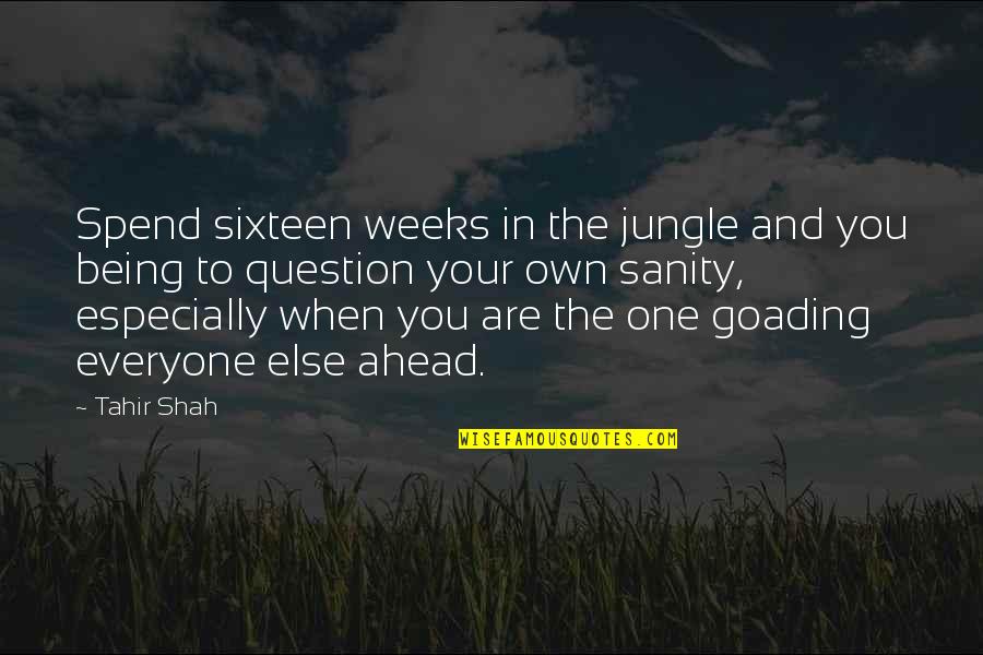 Journey Ahead Quotes By Tahir Shah: Spend sixteen weeks in the jungle and you