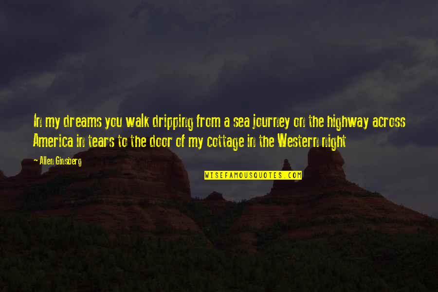 Journey And Dreams Quotes By Allen Ginsberg: In my dreams you walk dripping from a