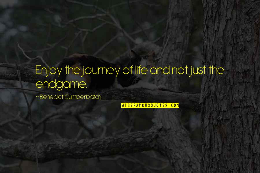 Journey And Life Quotes By Benedict Cumberbatch: Enjoy the journey of life and not just