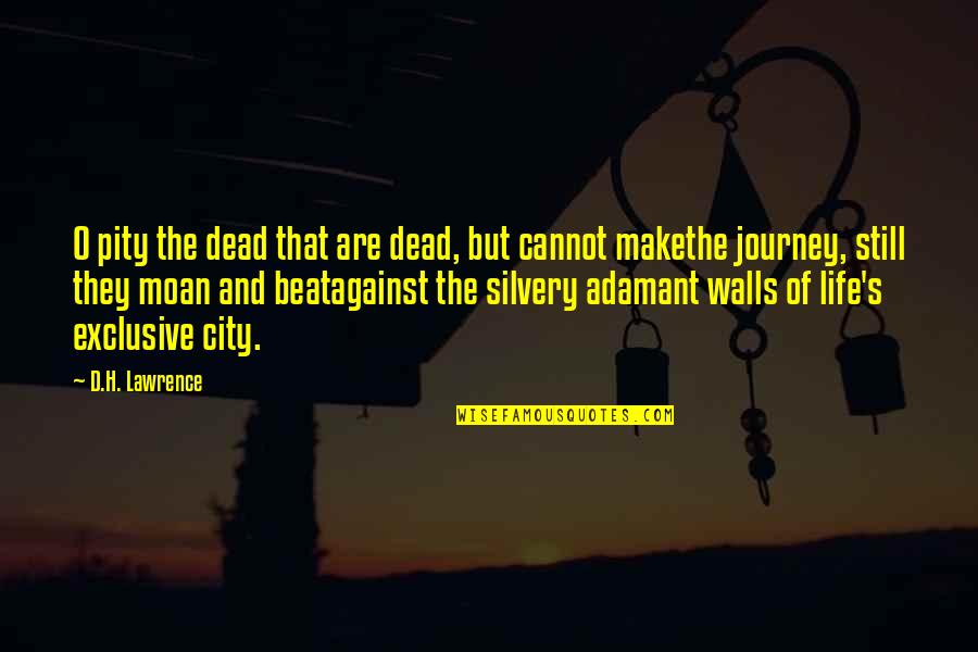 Journey And Life Quotes By D.H. Lawrence: O pity the dead that are dead, but