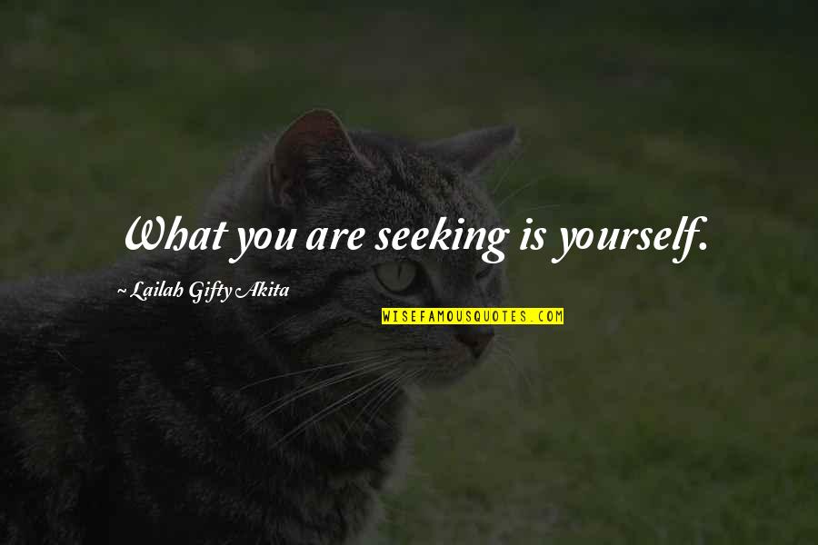 Journey Faith Quotes By Lailah Gifty Akita: What you are seeking is yourself.