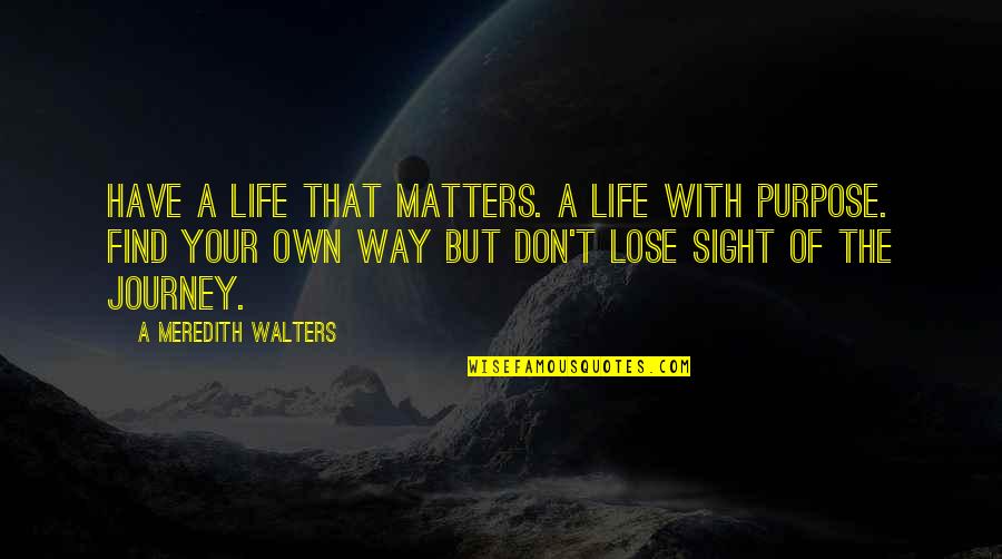 Journey Of Your Life Quotes By A Meredith Walters: Have a life that matters. A life with