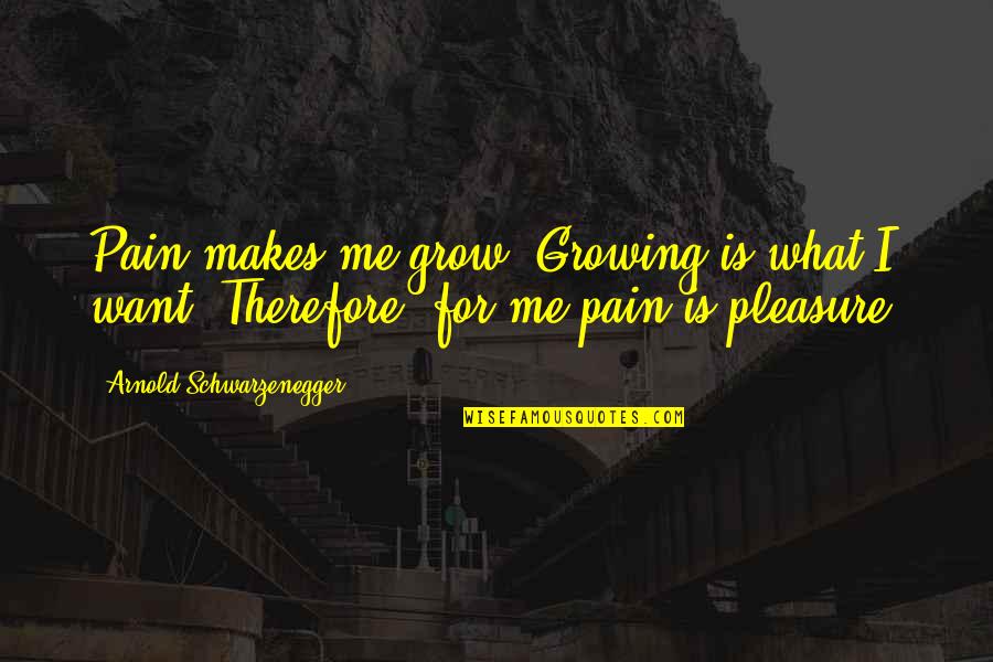 Journey The Video Quotes By Arnold Schwarzenegger: Pain makes me grow. Growing is what I