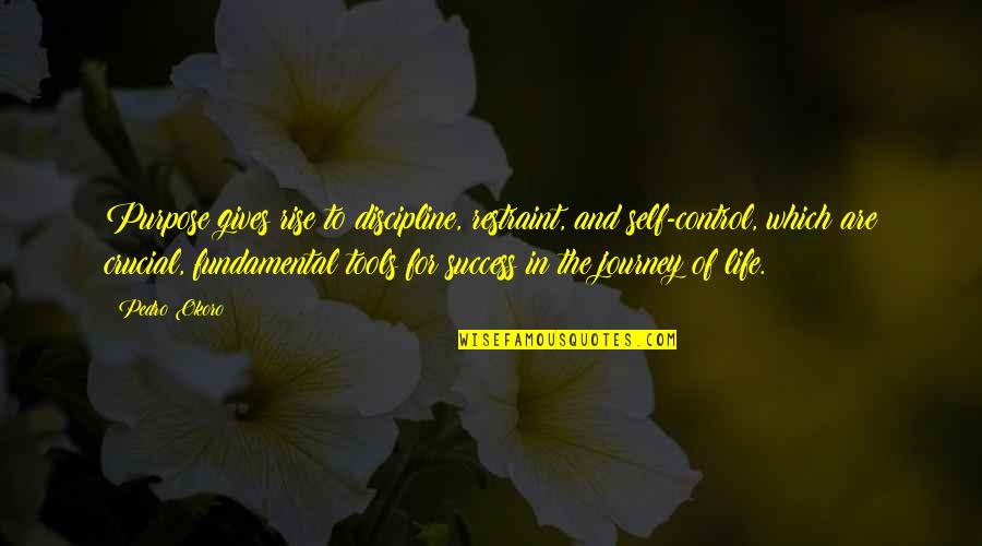 Journey To The Self Quotes By Pedro Okoro: Purpose gives rise to discipline, restraint, and self-control,