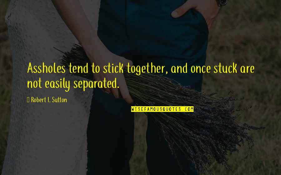 Journey Together Love Quotes By Robert I. Sutton: Assholes tend to stick together, and once stuck