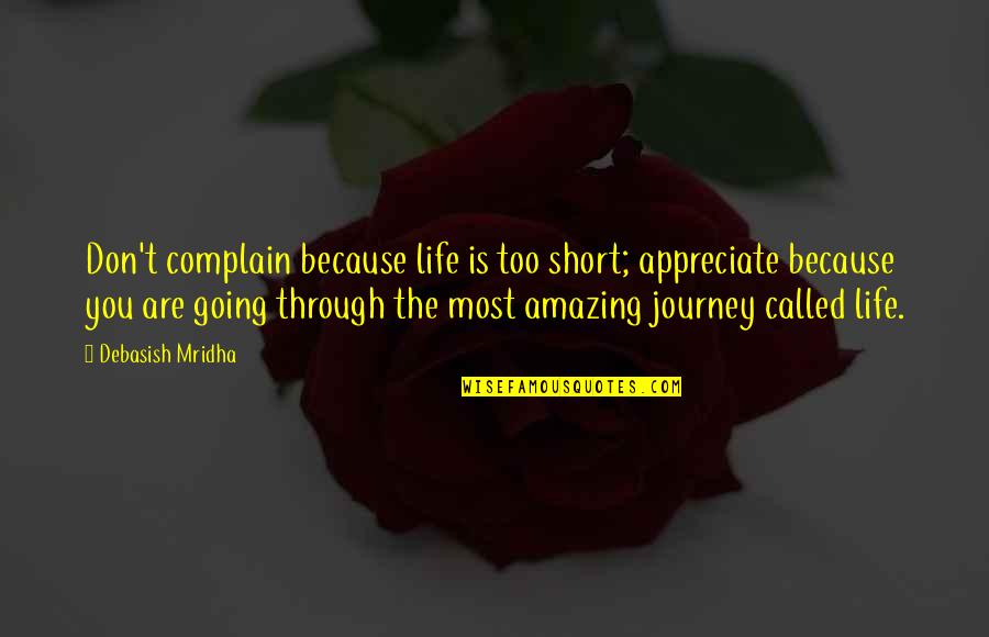 Journey With You Love Quotes By Debasish Mridha: Don't complain because life is too short; appreciate