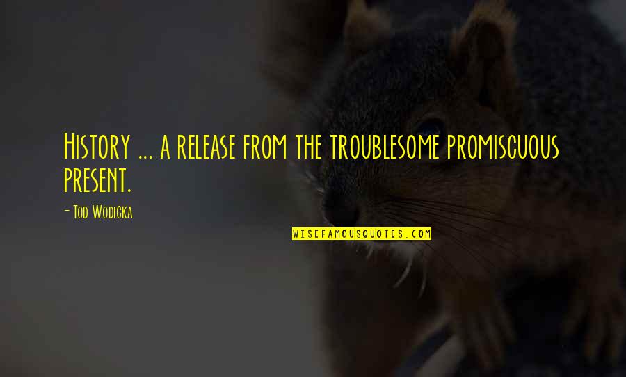Jouvre Des Quotes By Tod Wodicka: History ... a release from the troublesome promiscuous