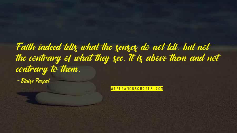 Jouwloon Quotes By Blaise Pascal: Faith indeed tells what the senses do not Jouwloon Quotes By Blaise Pascal: Faith indeed tells what the senses do not