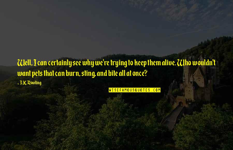Jovana Stojiljkovic Quotes By J.K. Rowling: Well, I can certainly see why we're trying