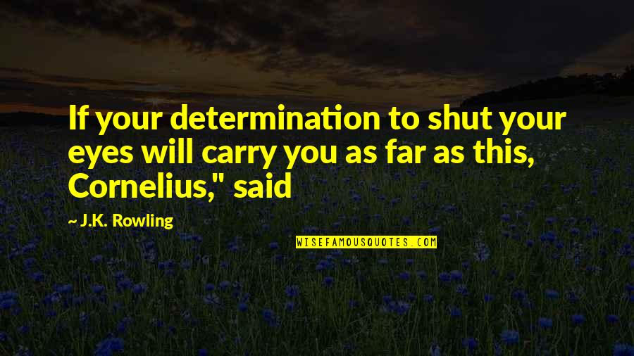 Jowita Klein Quotes By J.K. Rowling: If your determination to shut your eyes will