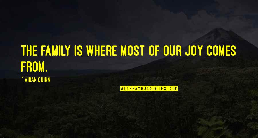Joy And Family Quotes By Aidan Quinn: The family is where most of our joy Joy And Family Quotes By Aidan Quinn: The family is where most of our joy