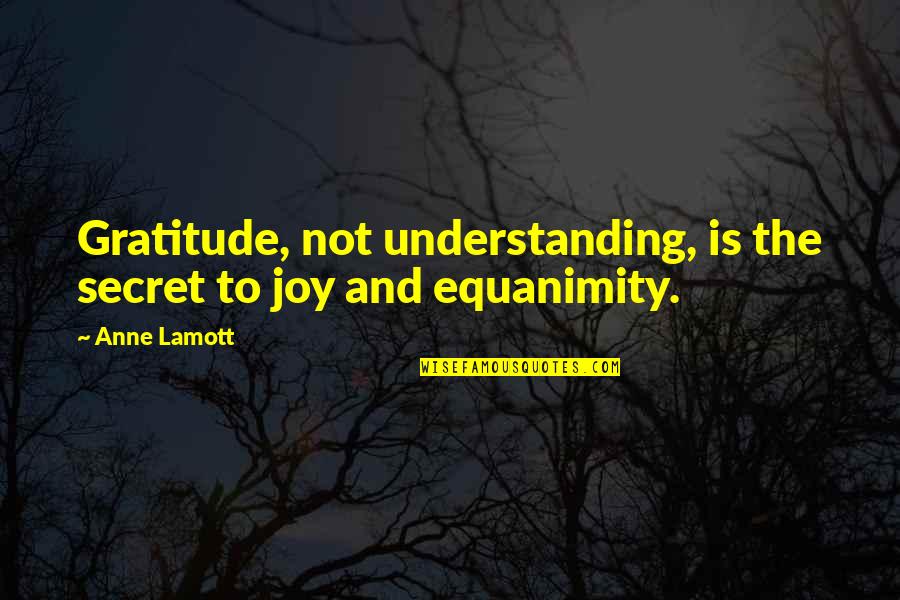 Joy And Gratitude Quotes By Anne Lamott: Gratitude, not understanding, is the secret to joy