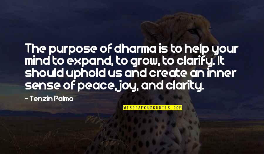 Joy And Peace Quotes By Tenzin Palmo: The purpose of dharma is to help your