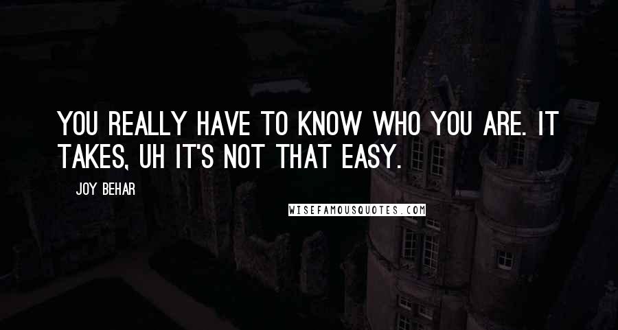 Joy Behar quotes: You really have to know who you are. It takes, uh it's not that easy.
