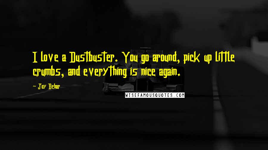 Joy Behar quotes: I love a Dustbuster. You go around, pick up little crumbs, and everything is nice again.