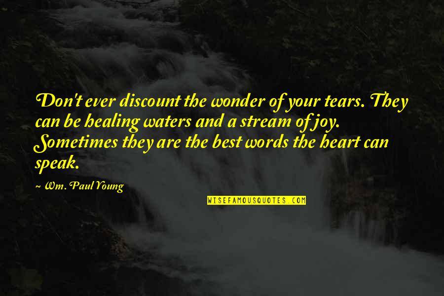 Joy Christian Quotes By Wm. Paul Young: Don't ever discount the wonder of your tears.