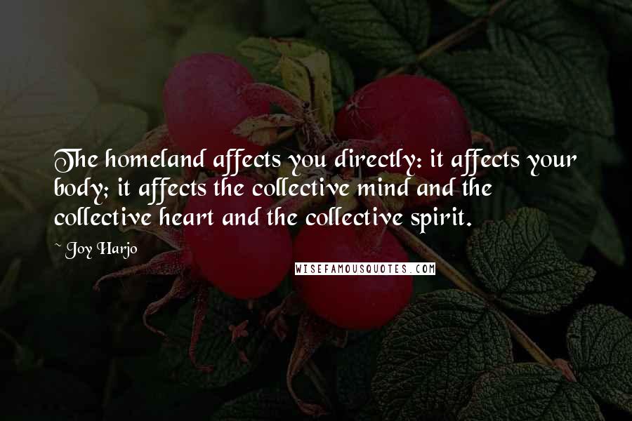 Joy Harjo quotes: The homeland affects you directly: it affects your body; it affects the collective mind and the collective heart and the collective spirit.